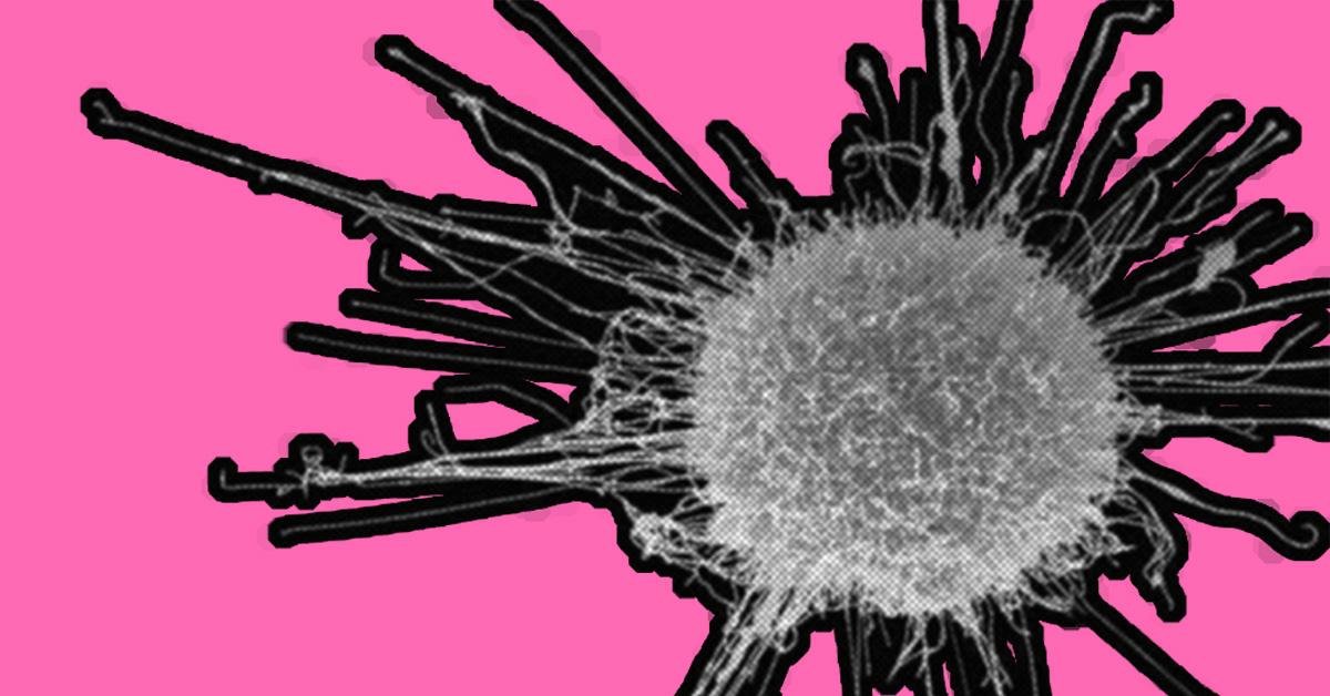 Why haven’t we cured cancer yet?