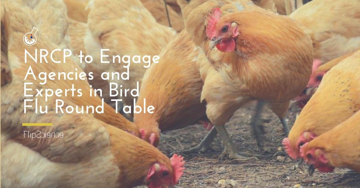 NRCP to engage agencies and experts in bird flu round table