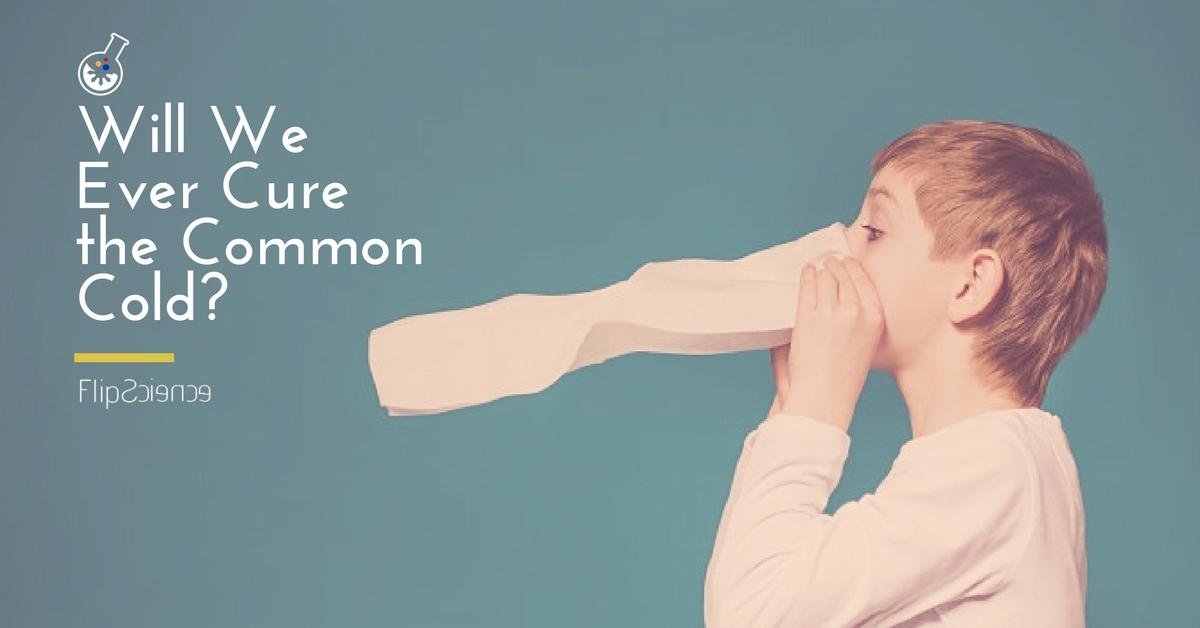 Will we ever cure the common cold?