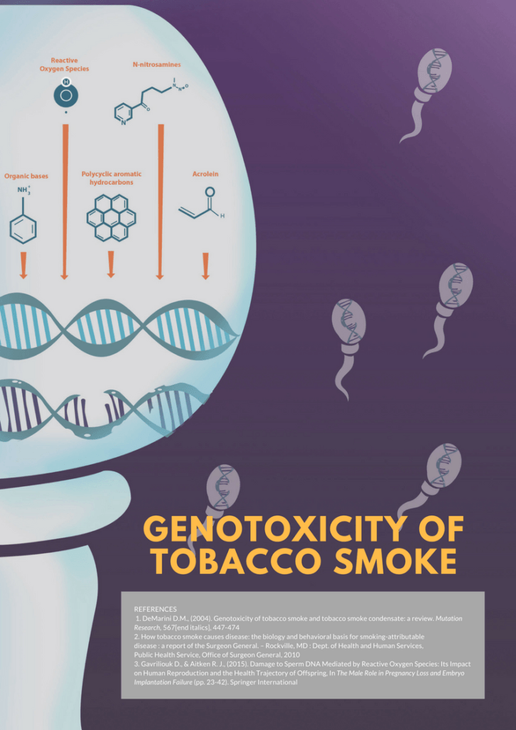 toxicity of tobacco smoke to sperm cells