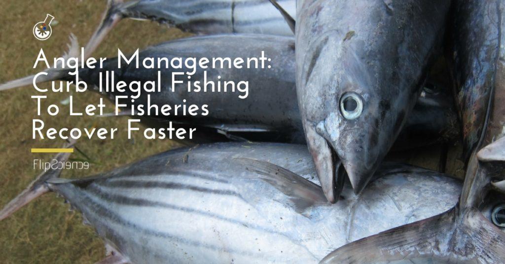 illegal fishing in the philippines
