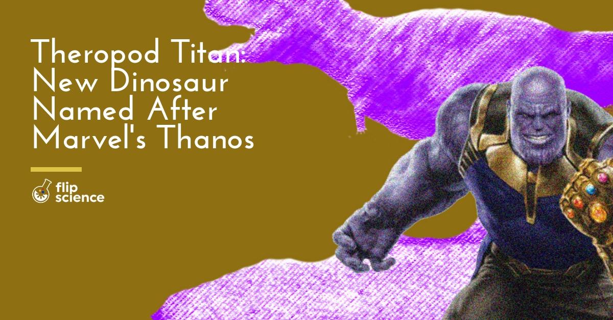 thanos, simonattoi, theropod, abelisaurid