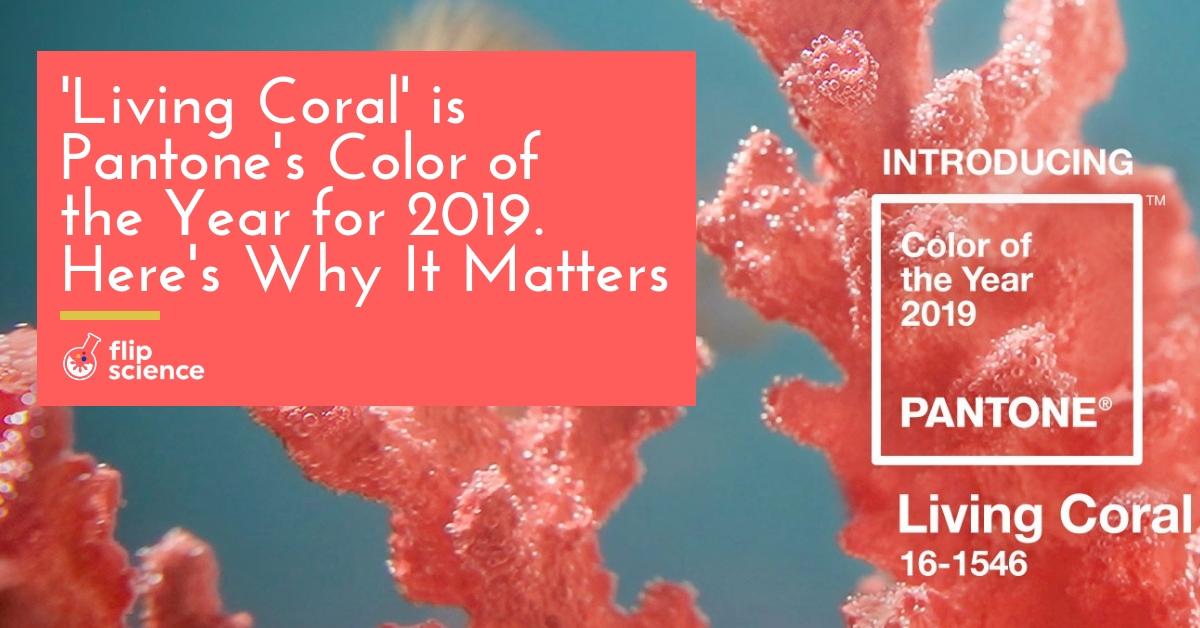 pantone, living coral, coral, 2019