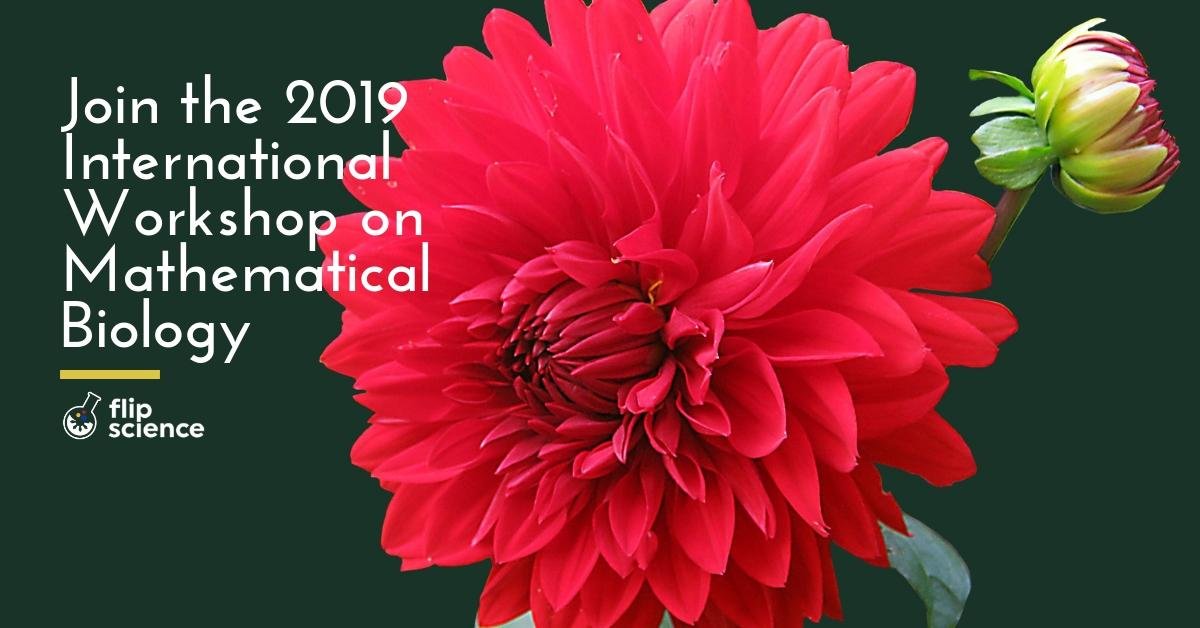 Join the 2019 International Workshop on Mathematical Biology