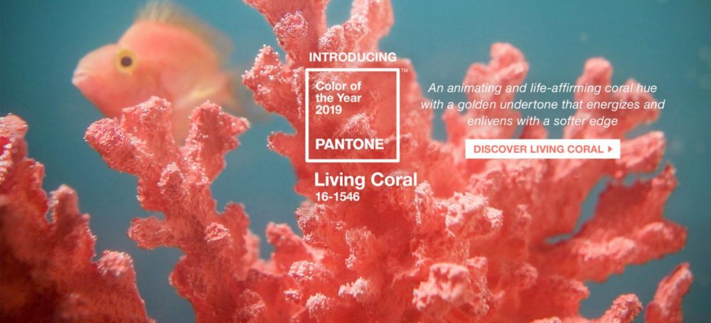 living coral, pantone, 2019