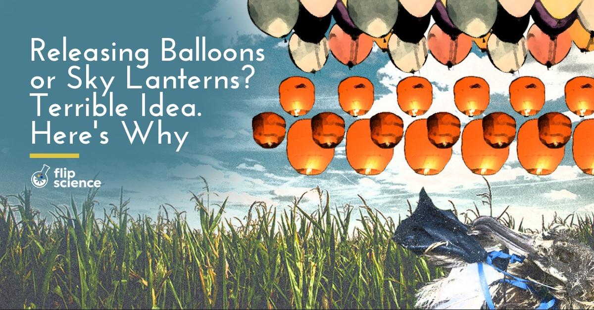 sky lanterns, balloons, pollution