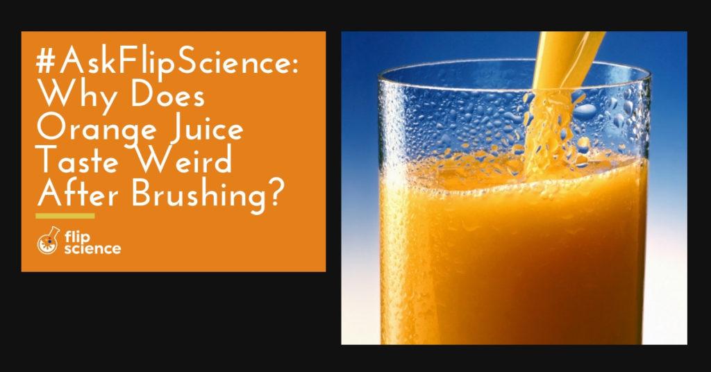AskFlipScience Why does orange juice taste weird after brushing