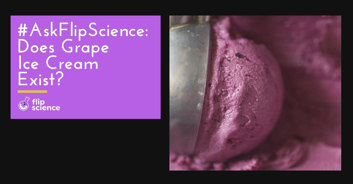 grape, ice cream, askflipscience, flipscience