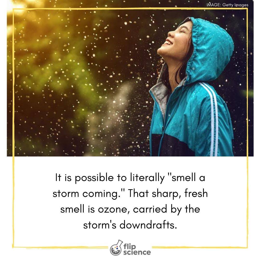 Can you smell a storm coming?