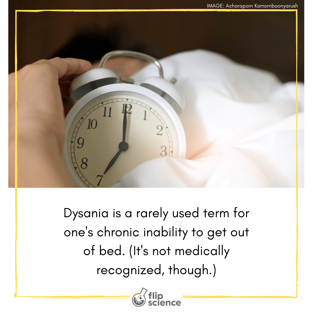 Can’t get out of bed? You might have dysania - FlipScience - Top ...