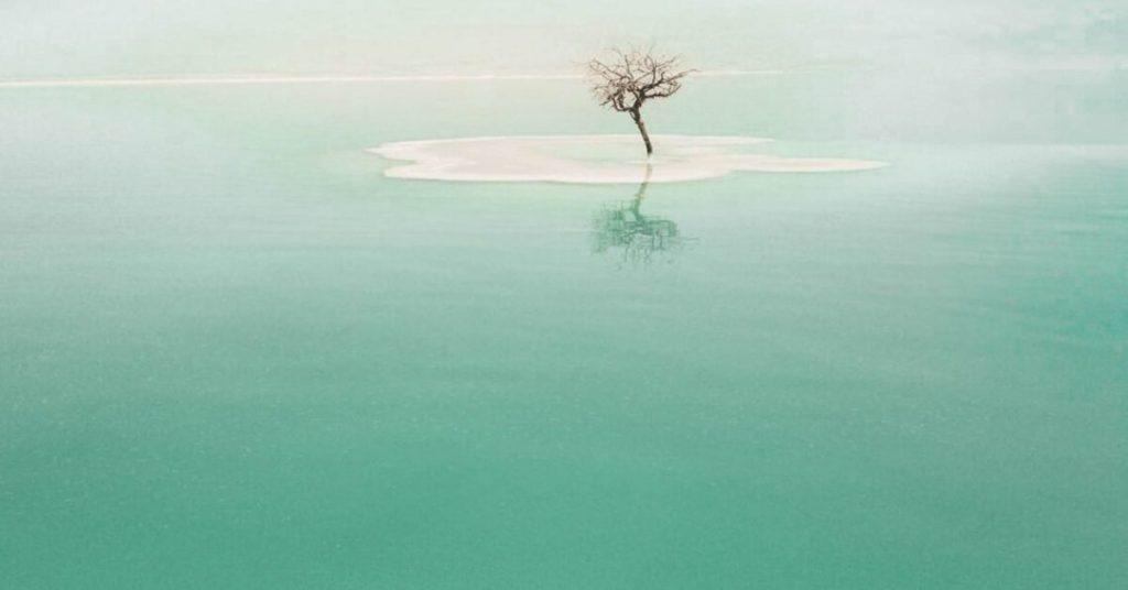 dead sea, flipfact, flipfacts, flipscience