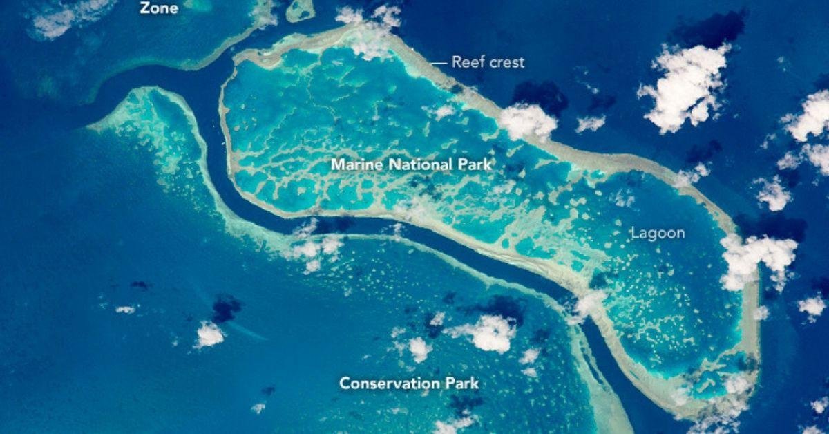Which living structure is visible from outer space?