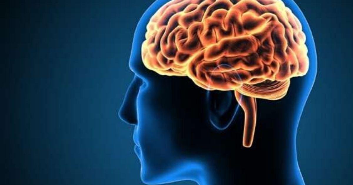 FlipFact (September 14, 2019): How much energy does your brain require?
