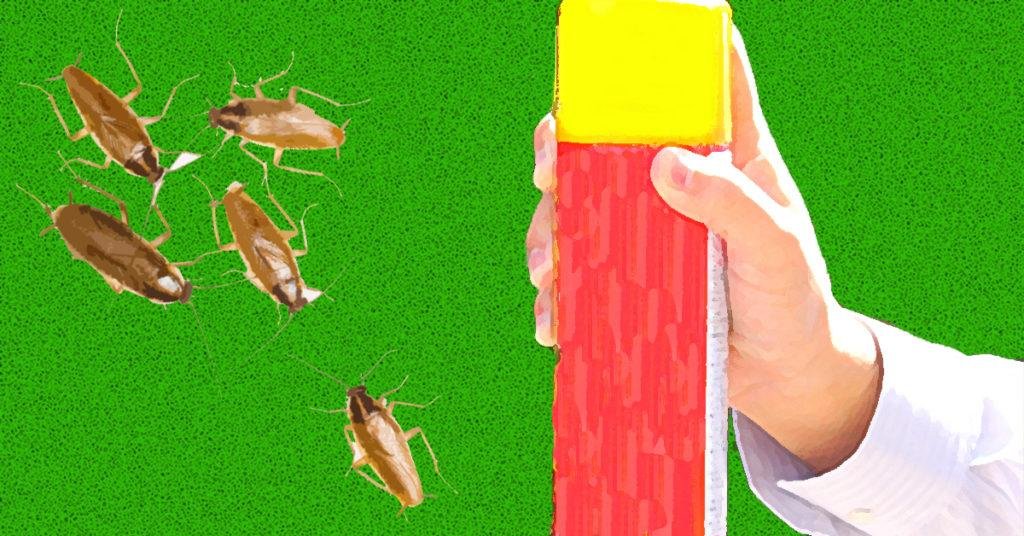 Cockroaches are becoming tougher to kill — here’s why - FlipScience ...