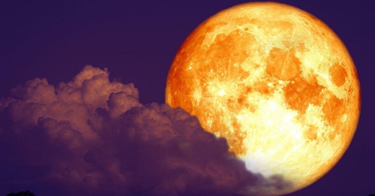 FlipFact (August 1, 2019): Does the Moon have an effect on your weight?