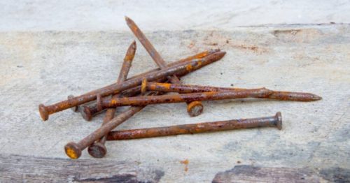 FlipFact February 7 2020 Do You Really Get Tetanus From Rusty Nails 