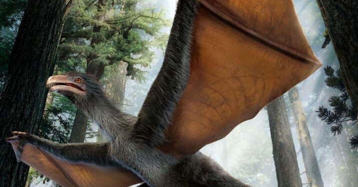 𝘠𝘪 𝘲𝘪, a small dinosaur with a short name