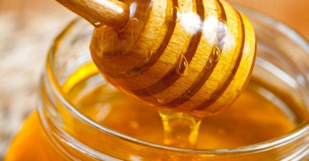 flipfact, flipfacts, flipscience, honey