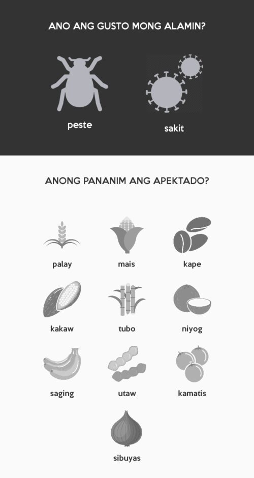 SPIDTECH: A smarter way of managing crop pests and diseases ...